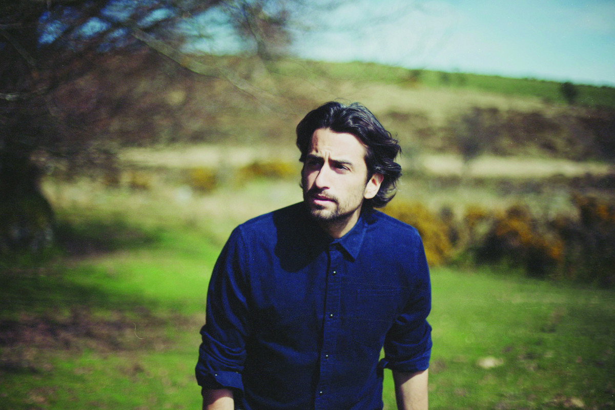 Dotan 2014