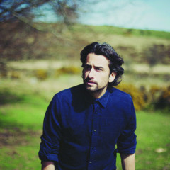 Dotan 2014