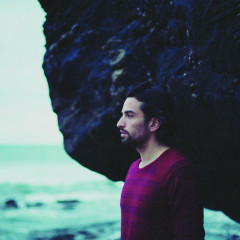 Dotan 2014