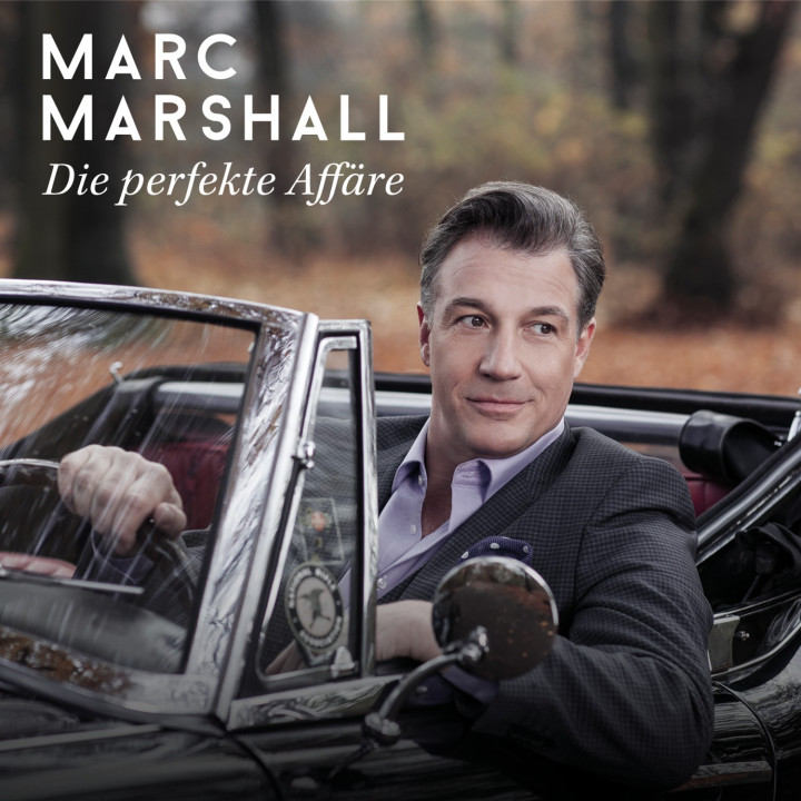 Marc Marshall Die perfekte Affäre