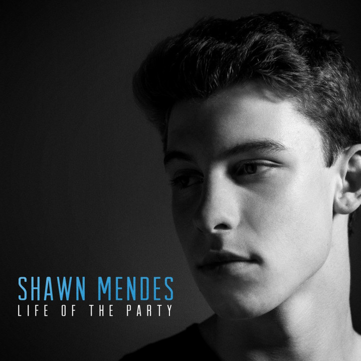 Shawn Mendes Life Of The Party