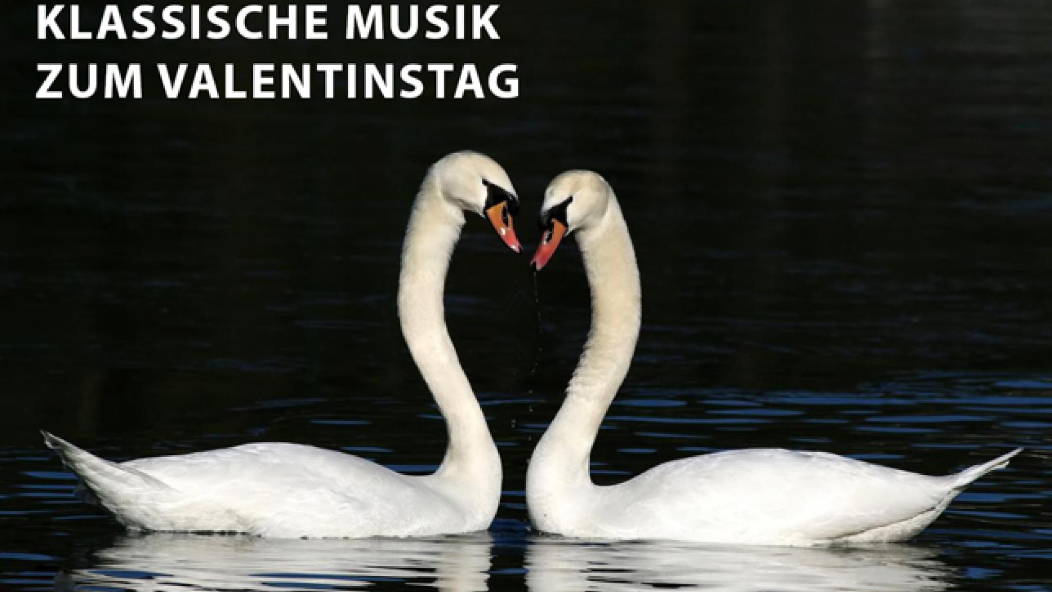 Romantik pur - Klassische Musik zum Valentinstag