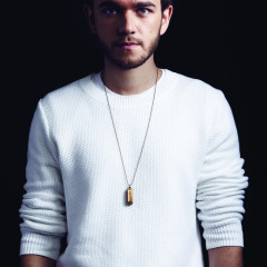 ZEDD 2015
