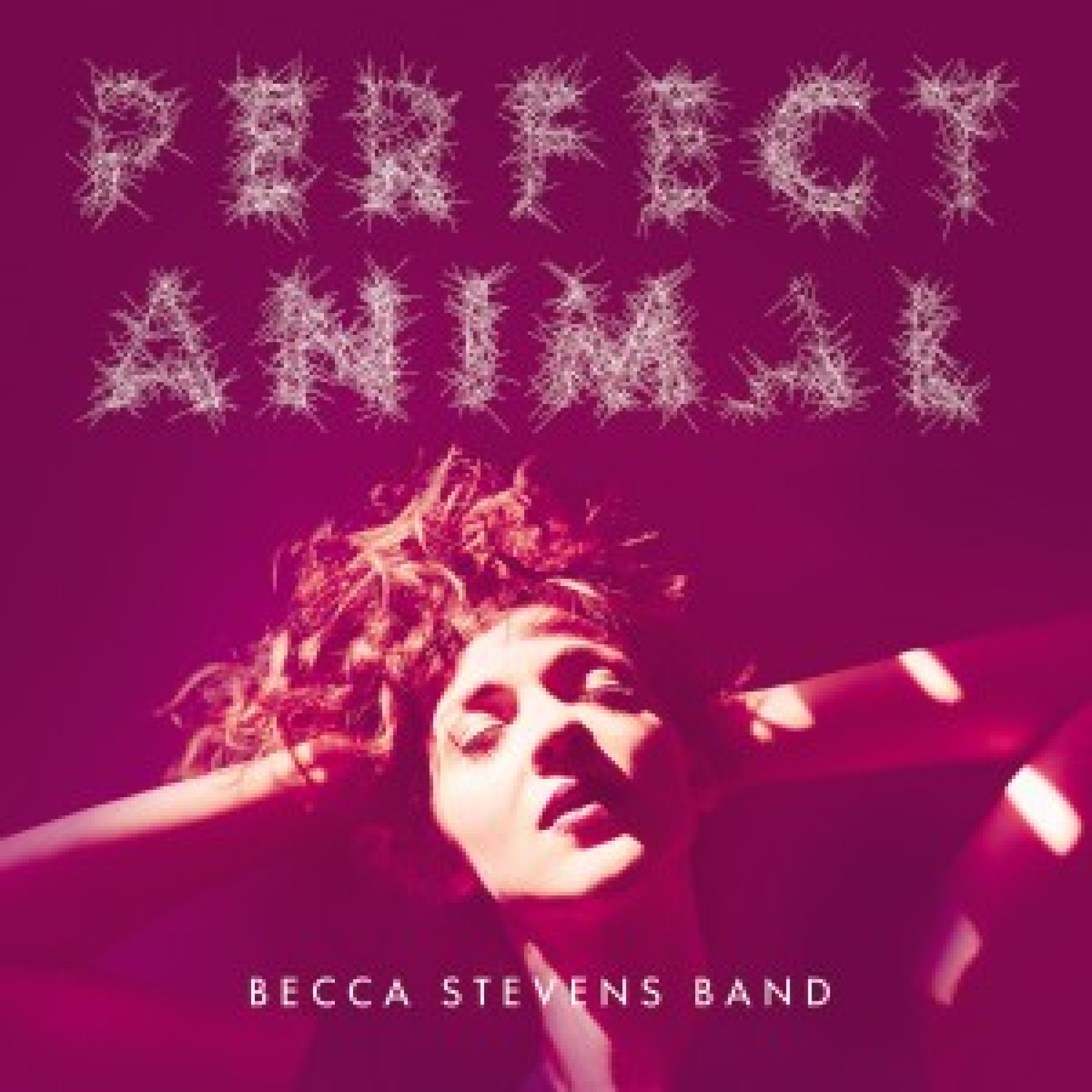 PERFECT ANIMAL
