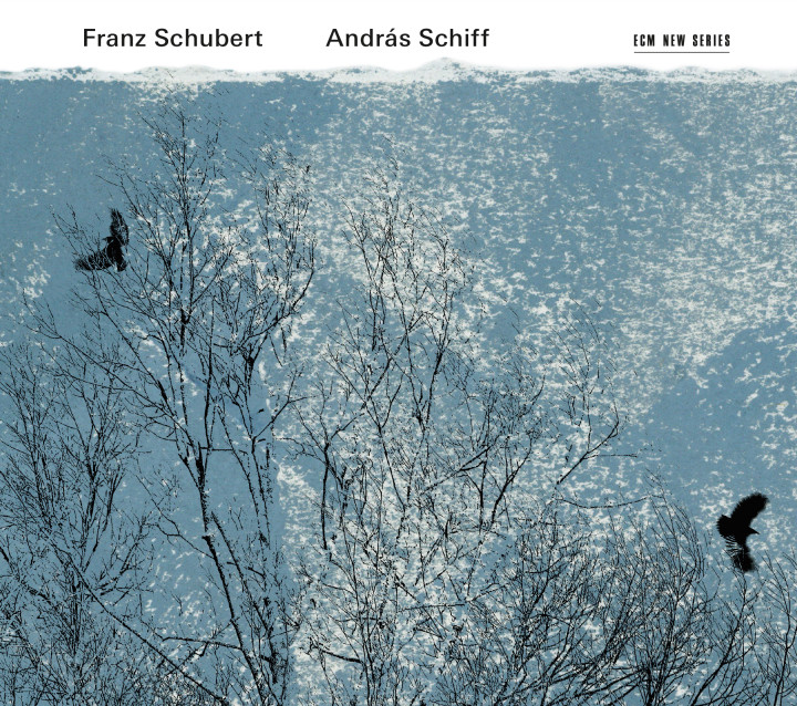 András Schiff - Fortepiano (Schubert)