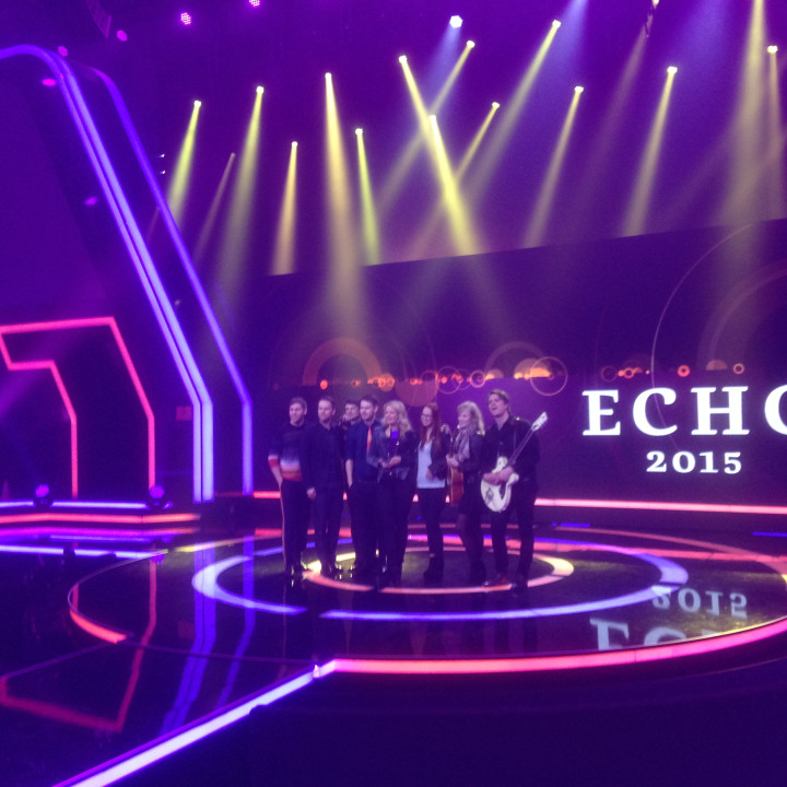 The Common Linnets Echo 2015
