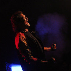David Hasselhoff 2015