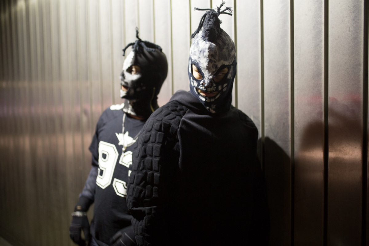 Genetikk - Pressefoto 2015