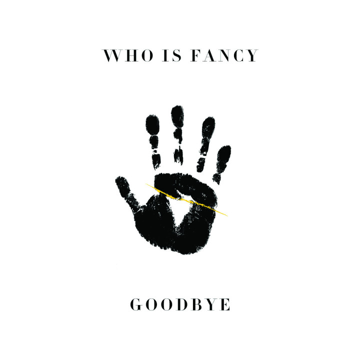 Who Is Fancy Goodbye Singlecover