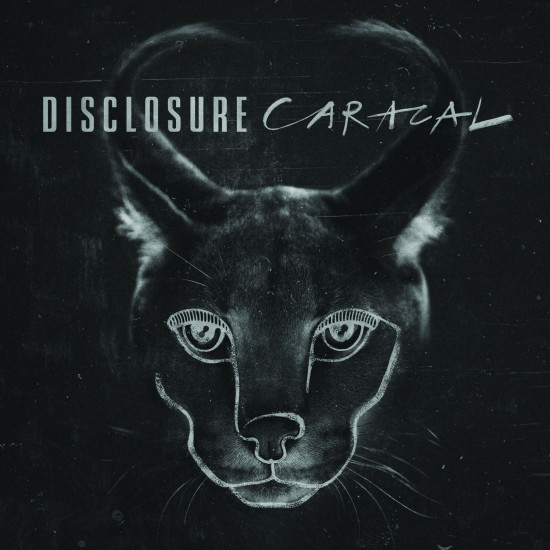 Disclosure Caracal