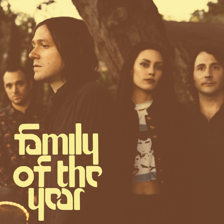 Family Of The Year - Album - 2015