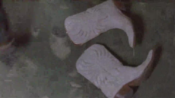 Biscuits - The Baking Of