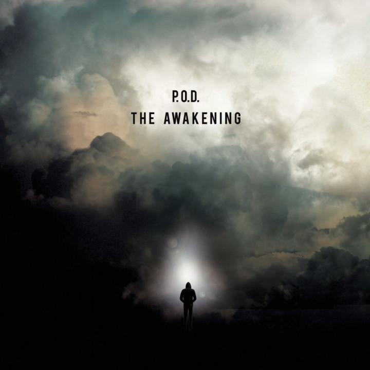 Pod the awakening - Unser Testsieger 