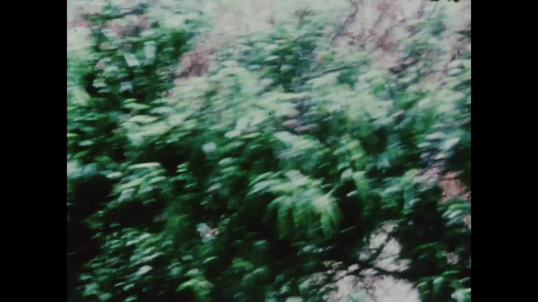 Philip Glass "New Seasons" Movement IV – Jonas Mekas