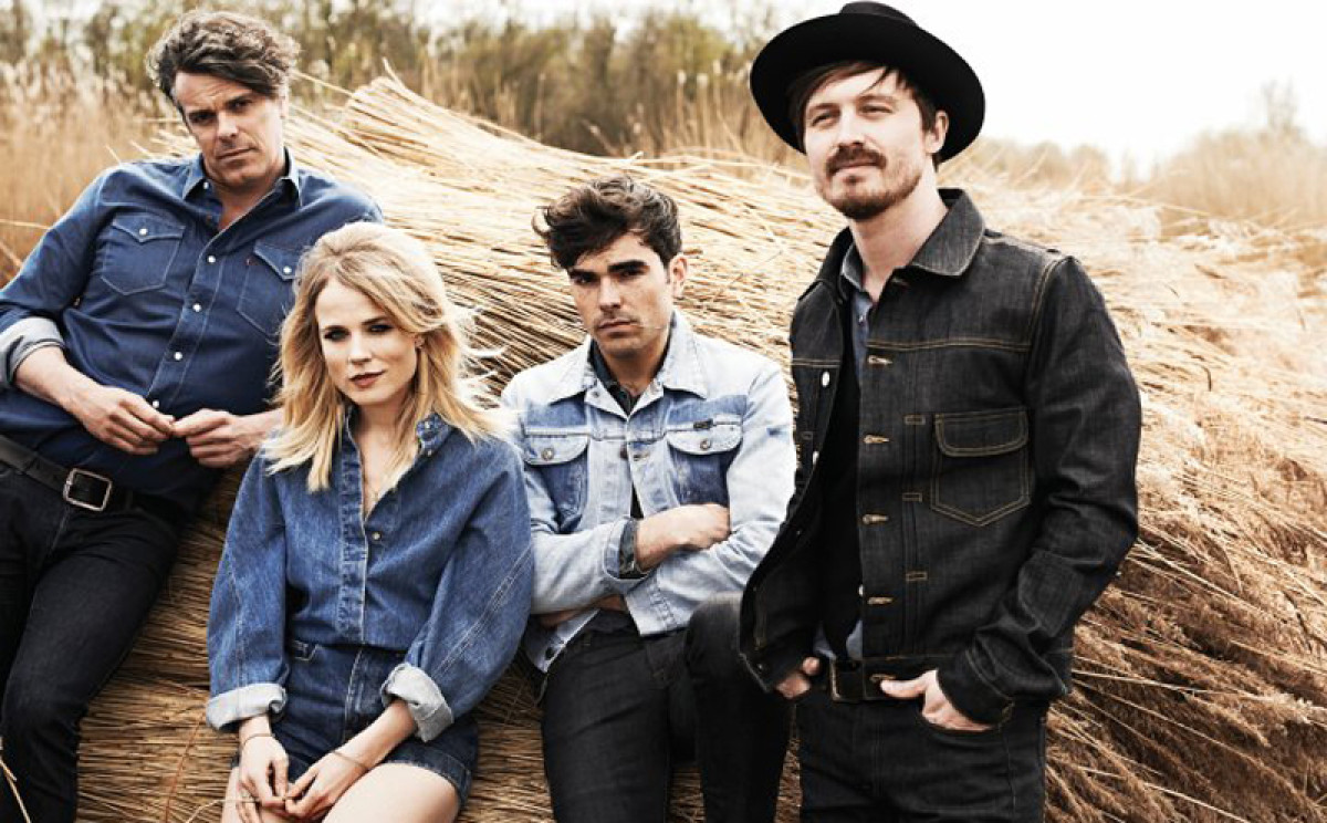 The Common Linnets 2015