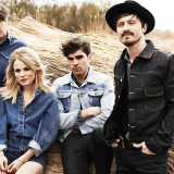 The Common Linnets