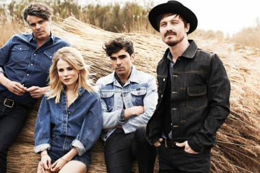The Common Linnets