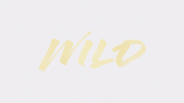 Wild (Lyric Video)