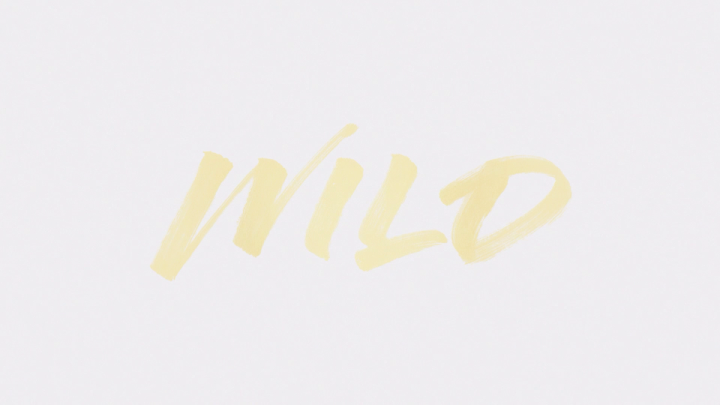 Wild (Lyric Video)