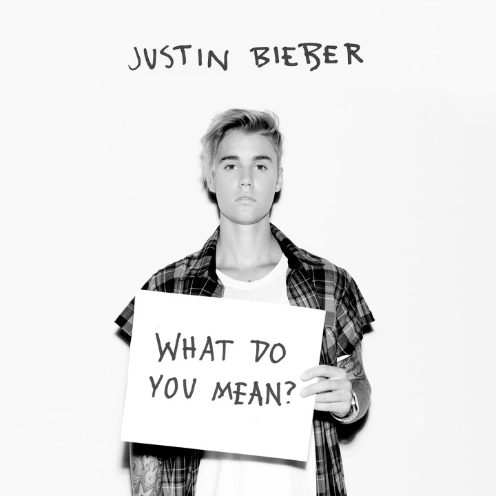 What Do You Mean? Justin Bieber Cover