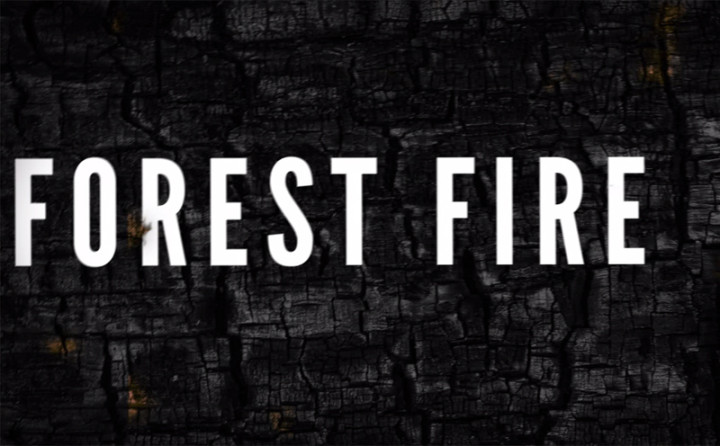Forest Fire