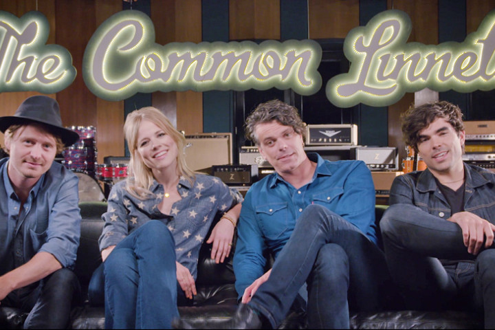 The Common Linnets 2015