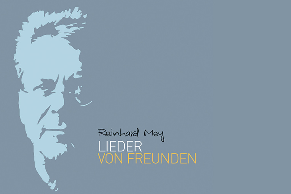 mey webgrafik lieder von freunden