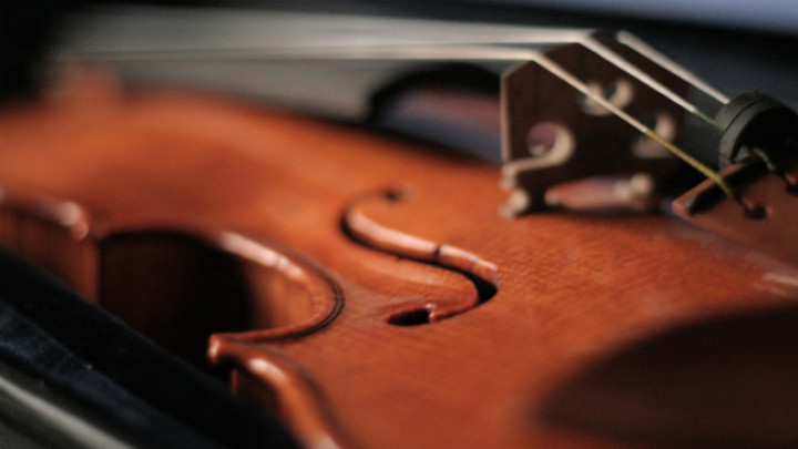 Violine