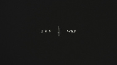Wild (Lyric Video)