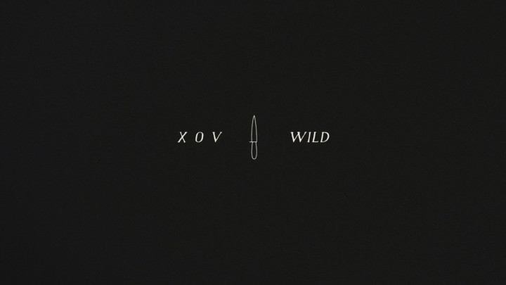 Wild (Lyric Video)