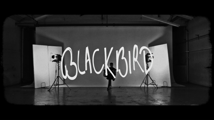 Blackbird