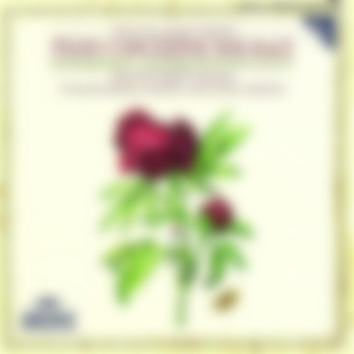 Mozart, W.A.: Piano Concertos Nos.16 & 17
