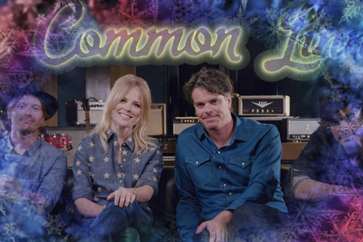 The Common Linnets 2015
