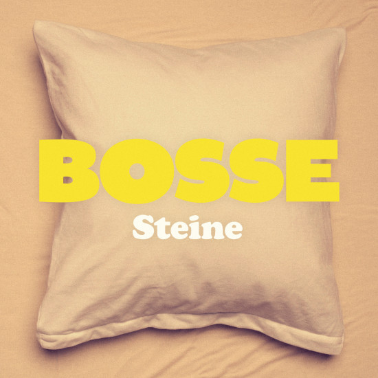 Steine Cover