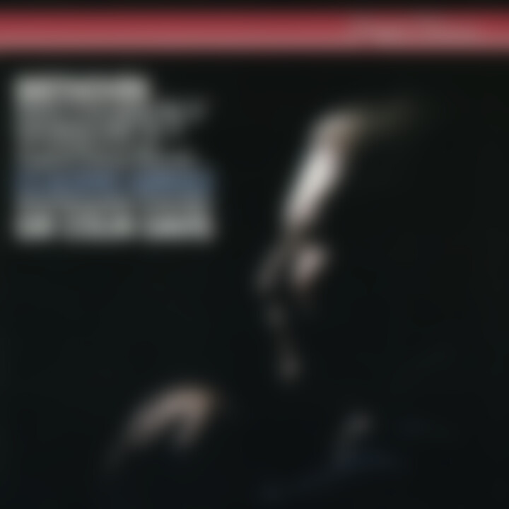 Beethoven: Piano Concerto No. 4; 32 Variations On An Original Theme