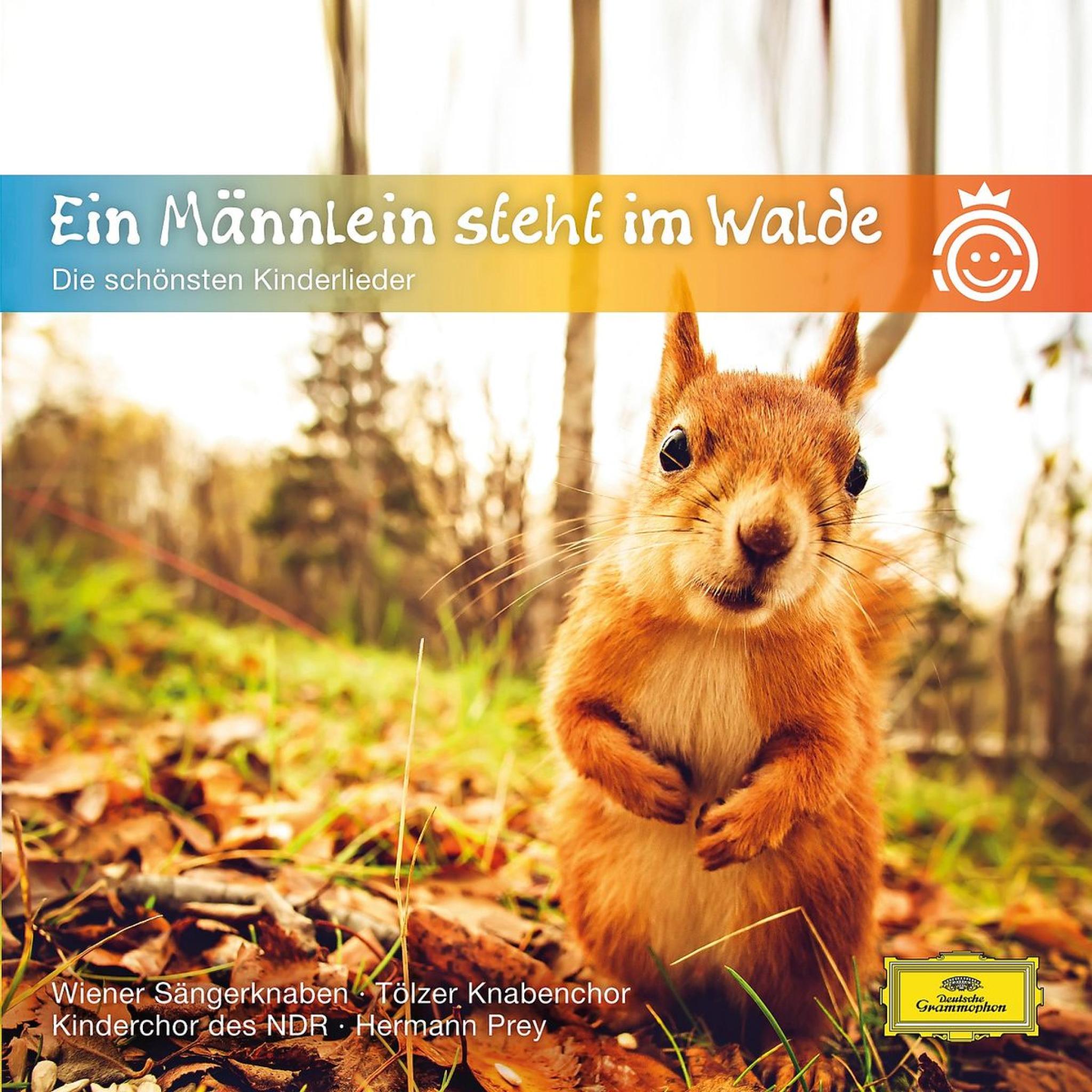 Ein Männlein steht im Walde