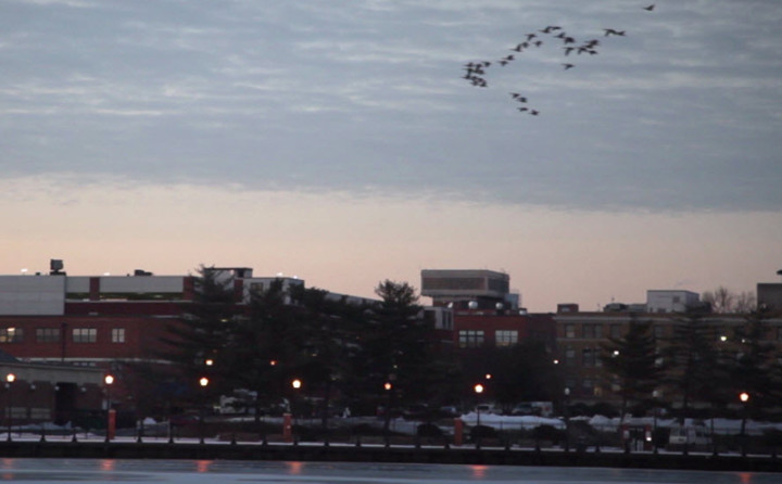 The Community Of Hope