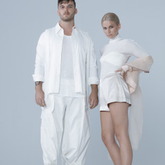 BROODS