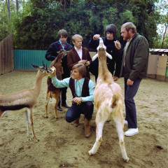 The Beach Boys