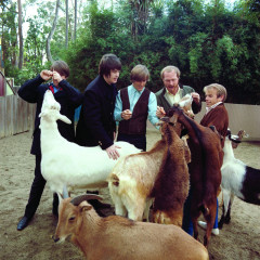 The Beach Boys