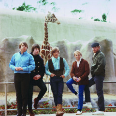 The Beach Boys