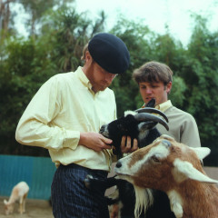 The Beach Boys