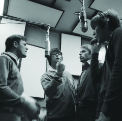 The Beach Boys