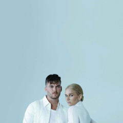Broods 2016
