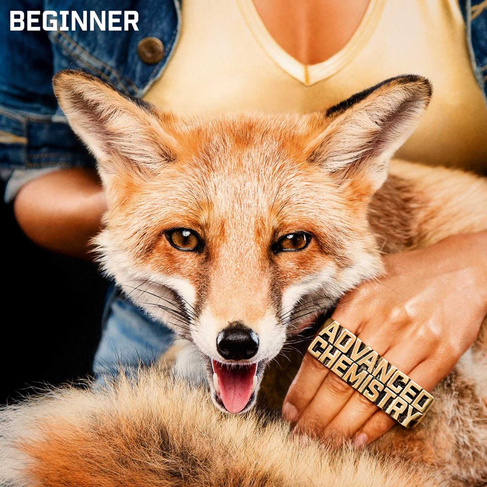 Beginner Advanced Chemistry Cover