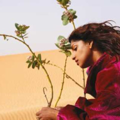M.I.A. 2016