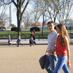 Joseph Gordon-Levitt, Shailene Woodley