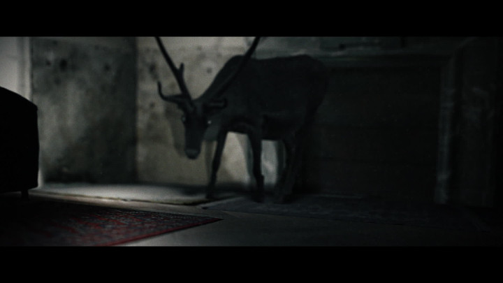 By the Roes, and by the Hinds of the Field
