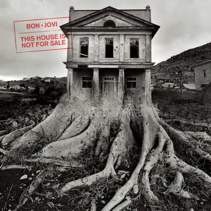 This House Is Not For Sale (Vinyl)