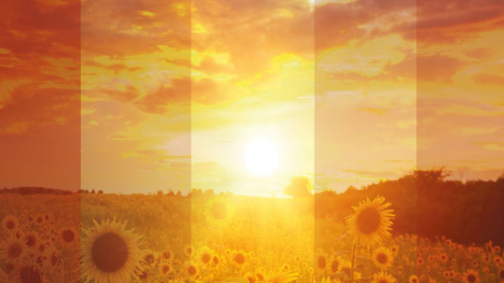 Deine Sonne bleibt